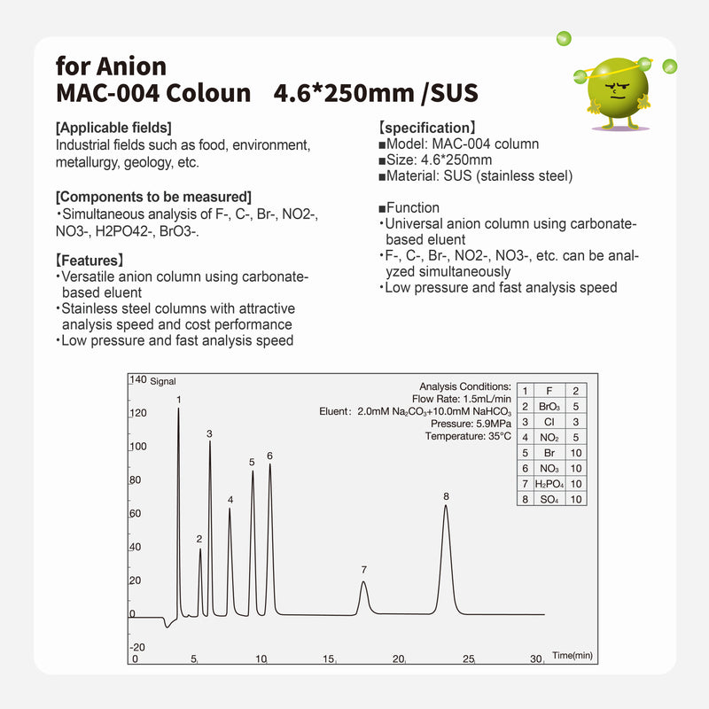Load image into Gallery viewer, Anion column MAC-004 (4.6*250mm)(made by SUS)