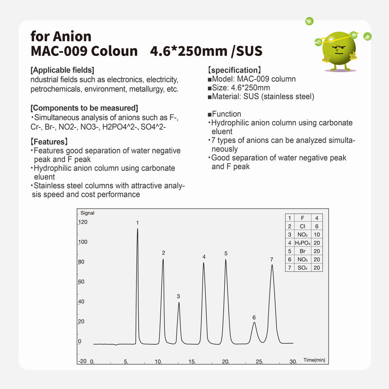 Load image into Gallery viewer, Anion column MAC-009 (4.6*250mm)(made by SUS)