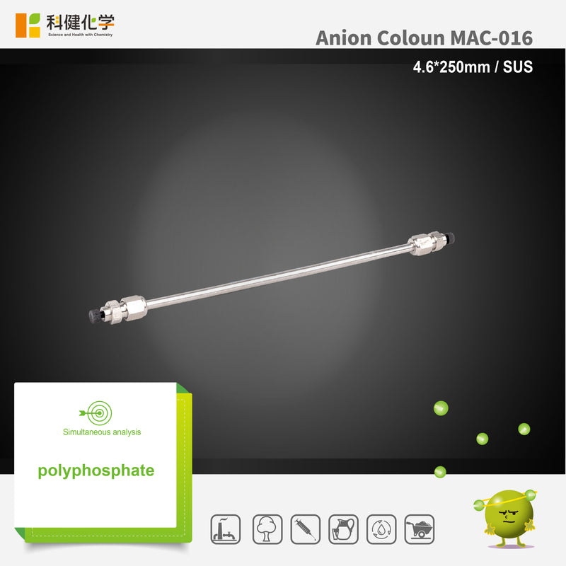 Load image into Gallery viewer, Anion column MAC-016 (4.6*250mm)(made by SUS)