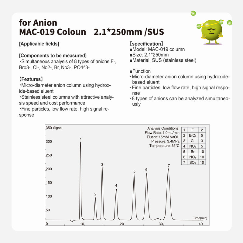 Load image into Gallery viewer, Anion column MAC-019(2.1*250mm)(made by SUS)