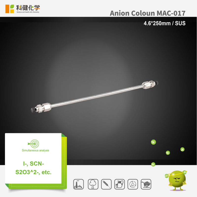 Load image into Gallery viewer, Anion column MAC-017 (4.6*250mm)(made by SUS)