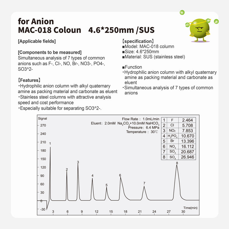 Load image into Gallery viewer, Anion column MAC-018 (4.6*250mm)(made by SUS)