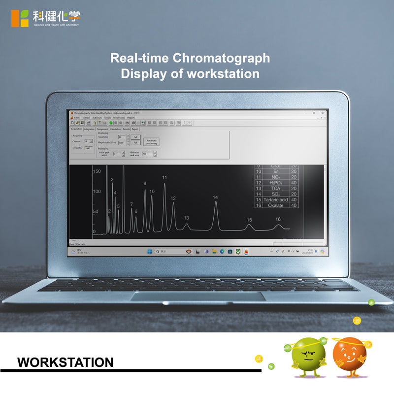 Load image into Gallery viewer, Workstation Software